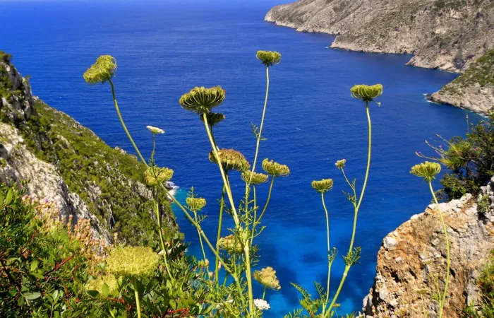 Blue_Zone_Immersive_Experience_in_Ikaria