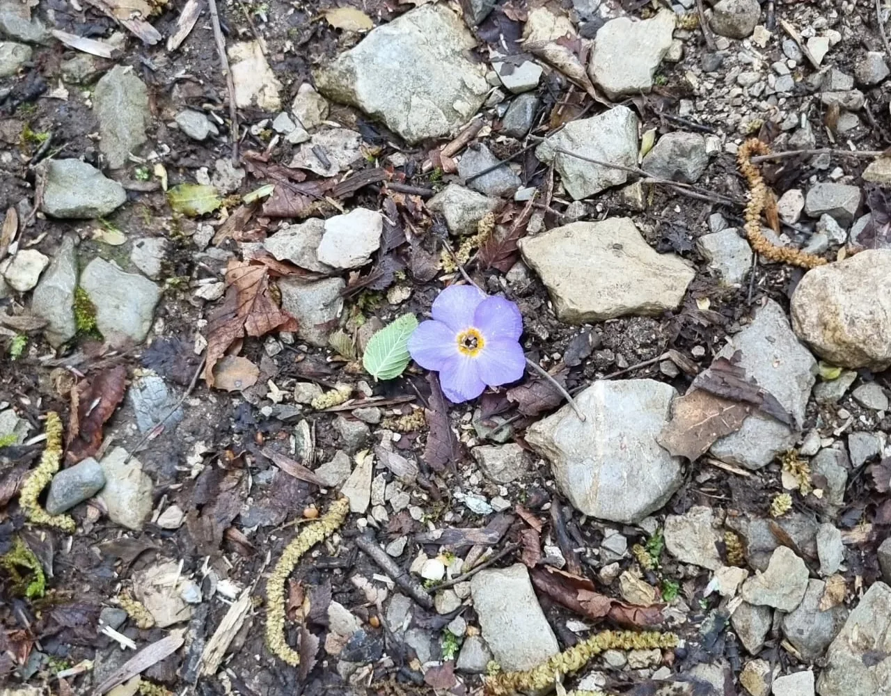 Voidomatis_Gorge_Hike