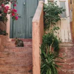 Whiskers_Among_the_Ruins_The_Stray_Cats_of_Greece