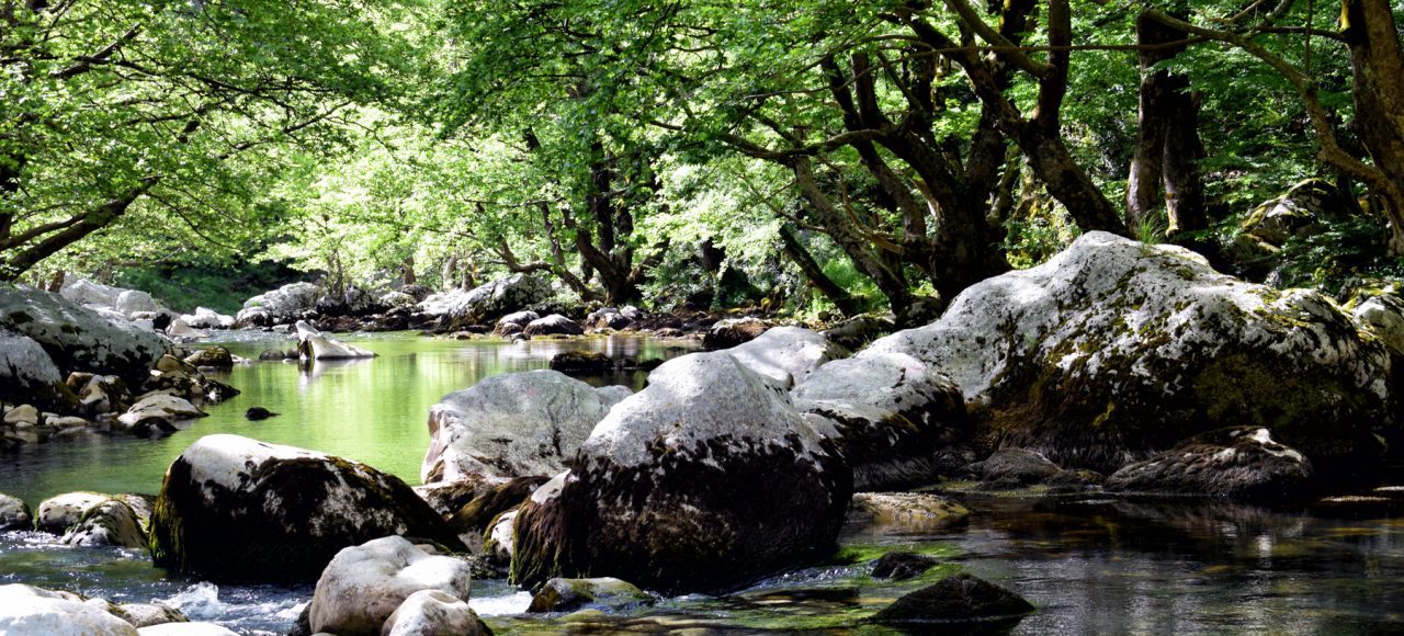 Vikos Gorge Crossing Tour