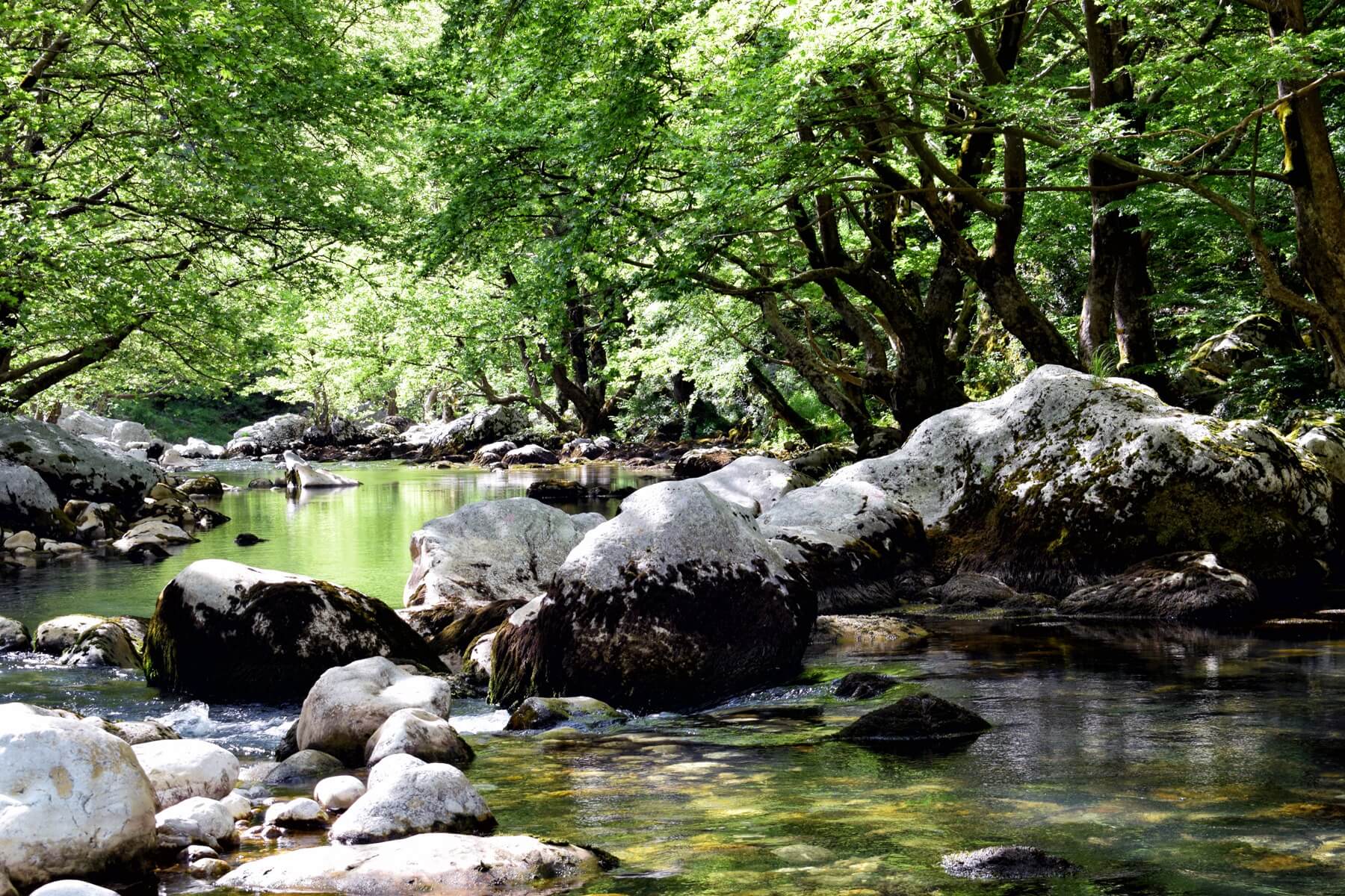 Vikos Gorge Crossing Tour